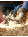 Cizme de lucru hidrofobizate, fără bombeu, Bekina Steplite EasyGrip, O4