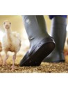 Cizme de lucru hidrofobizate, fără bombeu, Bekina Steplite EasyClean, O4 cu talpa plata